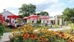 Quoi Faire à Venise-en-Québec -Activités - Festivals