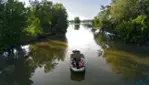 Excursion nautique dans l’archipel du lac Saint-Pierre