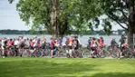 Quoi Faire à Venise-en-Québec -Activités - Festivals