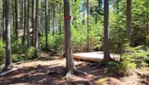Parc des Appalaches