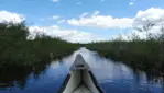 Réserve nationale de faune du lac-Saint-François