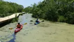 Réserve nationale de faune du lac-Saint-François