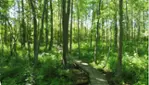 Réserve nationale de faune du lac-Saint-François