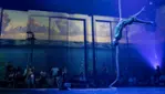 Bon Voyage - Spectacle Immersif Cirque Éloize - Du 9 juillet 2025 au 27 juillet 2025