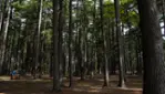 Parc des Chutes Dorwin