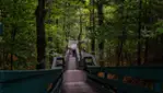 Parc des Chutes Dorwin