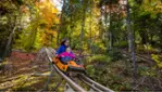 Sommet Saint-Sauveur en couleurs du 13 septembre au 26 octobre 2025