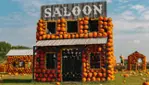Visitez Citrouilleville - autocueillette de citrouilles, labyrinthe et plus!