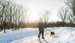 RécréoParc - glissade sur neige illuminée - Fat bike, raquette - sentiers pédestres