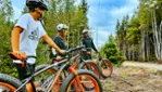 Au Chalet en Bois Rond