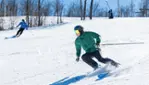 Camp Fortune - Ski, luge, Parc aérien et tyroliennes