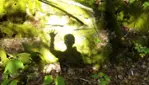 Parc nature Emélinois - Camping - Prêt-à-camper-activités plein air