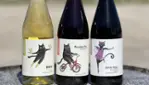 Le Chat Botté vignoble et cidrerie - Dégustations & vendanges
