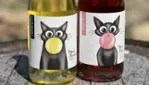 Le Chat Botté vignoble et cidrerie - Dégustations & vendanges