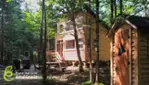 Parc nature Emélinois - Camping - Prêt-à-camper-activités plein air