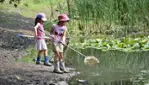 Guepe - Aventure et plein air