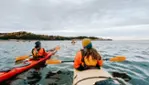 Vacances Essipit - Croisières aux Baleines & Kayak de Mer