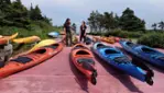 Vacances Essipit - Croisières aux Baleines & Kayak de Mer