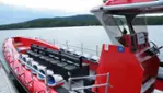 Vacances Essipit - Croisières aux Baleines & Kayak de Mer