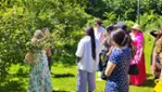 Gray Line Ottawa - Tour de Vignoble et Cidrerie