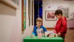 Musée des beaux-arts de Sherbrooke  - L’art d’émerveiller!