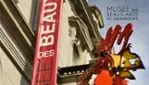 Musée des beaux-arts de Sherbrooke  - L’art d’émerveiller!