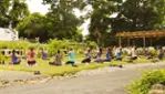 Jardins Michel Corbeil - Visites guidées - activités