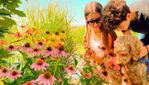 Jardins Michel Corbeil - Visites guidées - activités