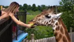 Parc Safari - Explorez les différentes activités