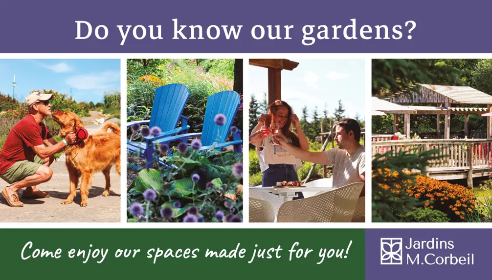 Jardins Michel Corbeil - Visites guidées - activités