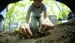 Pointe-du-Buisson, Musée québécois d‘archéologie - Fouilles authentiques 2025