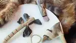Pointe-du-Buisson, Musée québécois d‘archéologie - Fouilles authentiques 2025