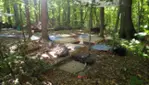 Pointe-du-Buisson, Musée québécois d‘archéologie - Fouilles authentiques 2025
