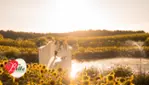  La Belle de Coteau-du-Lac: Votre destination agrotouristique familiale
