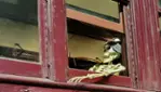 Fantômes ferroviaires, clin d’oeil à l’Halloween