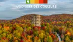 L’ODYSSÉE DES COULEURS – Le meilleur point de vue sur l’automne
