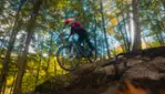 Centre Vorlage - Vélo de montagne, planche à neige, raquette et fatbike