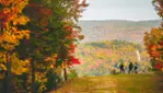 Quoi faire à Saint-Côme - Activités, événements et plus! Quoi faire à Saint-Côme - Activités, événements et plus!