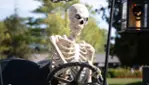 L'Halloween au Parc Safari