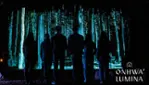 Onhwa' Lumina - Parcours nocturne enchanté Onhwa' Lumina - Parcours nocturne enchanté