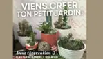 Le Cactus Fleuri - Un Noël qui rayonne… à 20 % - 50 % de rabais!