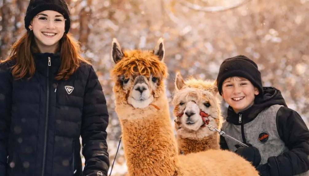 Alpagas du Domaine Poissant- Semaine de relâche 