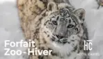 Forfait Zoo Hiver - Hôtel Castel