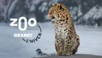 Zoo de Granby : le plus grand parc animalier et familial du Québec