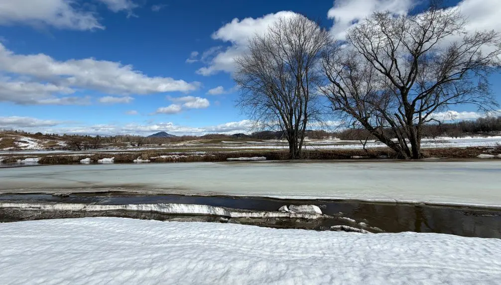 Musée de la nature et des sciences de Sherbrooke