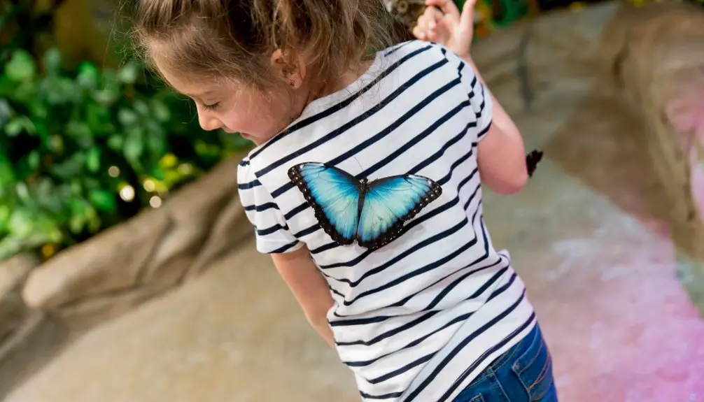 BFLY Brossard - Centre d'amusement