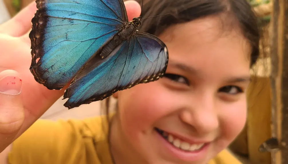 BFLY centre d'amusement à Québec