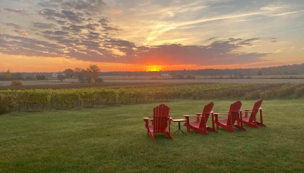 Vignoble Cortellino - Un coin d'Italie dans la Montérégie