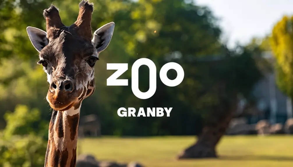 Zoo de Granby | Animaux - Manèges - Amazoo