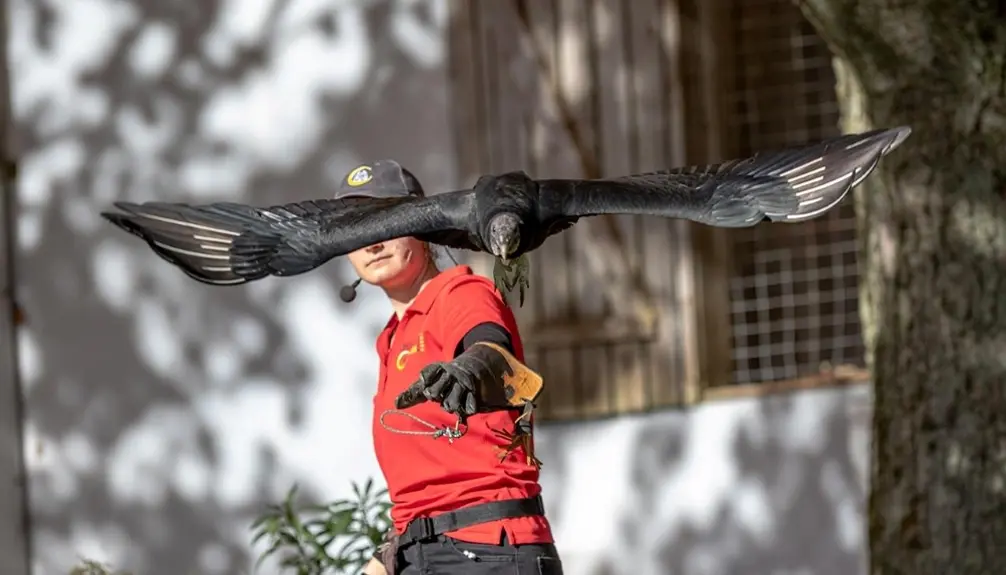 Chouette à voir! Explorez le monde des oiseaux de proie.